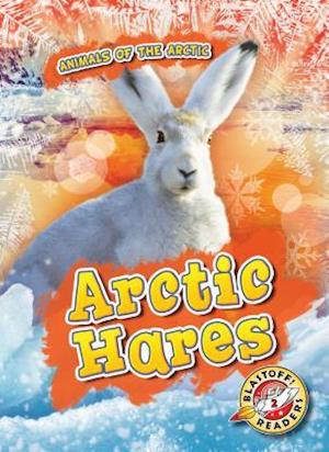 Arctic Hares