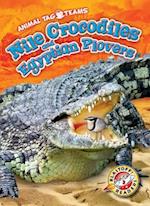 Nile Crocodiles and Egyptian Plovers