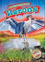 Herons