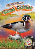 Wood Ducks