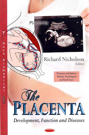 Placenta