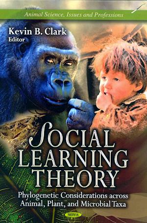 Social Learning Theory