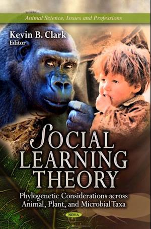 Social Learning Theory