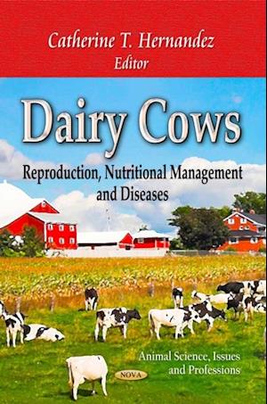 Dairy Cows