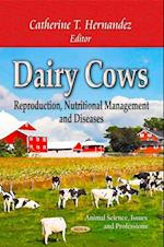 Dairy Cows