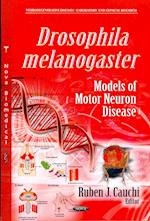 Drosophila Melanogaster Models of Motor Neuron Disease