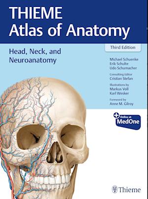 Head, Neck, and Neuroanatomy (THIEME Atlas of Anatomy)