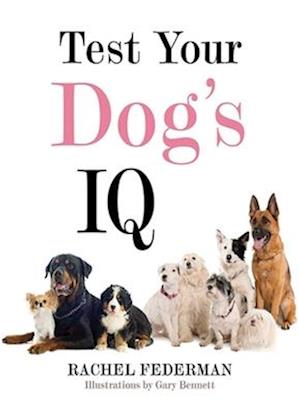 Test Your Dog's IQ