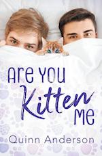 Are You Kitten Me 