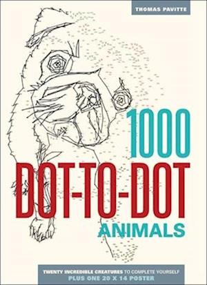 1000 Dot-To-Dot