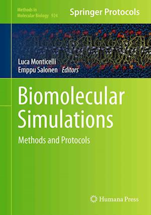 Biomolecular Simulations