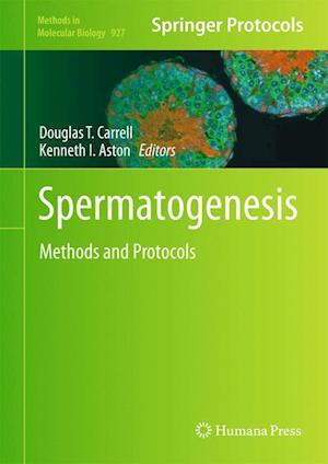 Spermatogenesis