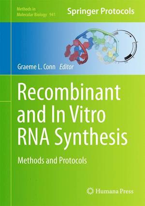 Recombinant and In Vitro RNA Synthesis