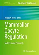 Mammalian Oocyte Regulation