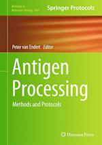Antigen Processing