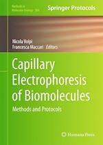 Capillary Electrophoresis of Biomolecules