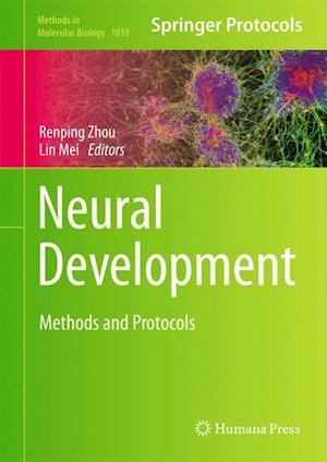 Neural Development