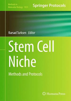 Stem Cell Niche