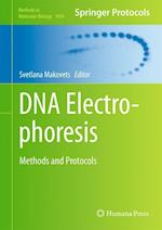 DNA Electrophoresis