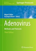 Adenovirus