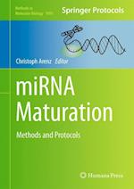 miRNA Maturation