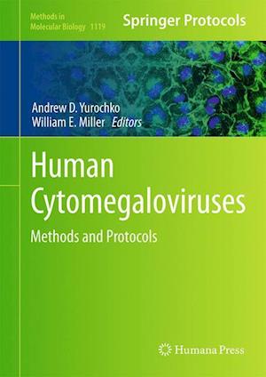 Human Cytomegaloviruses