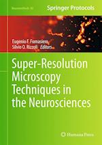 Super-Resolution Microscopy Techniques in the Neurosciences
