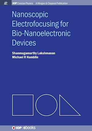 Nanoscopic Electrofocusing for Bio-Nanoelectronic Devices