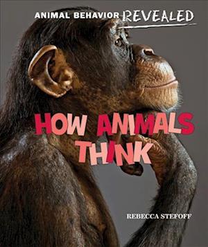 How Animals Think