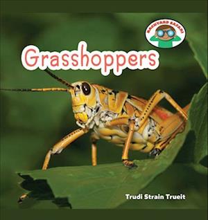 Grasshoppers