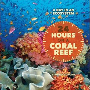 24 Hours on a Coral Reef