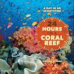 24 Hours on a Coral Reef