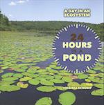 24 Hours in a Pond