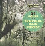 24 Hours in a Tropical Rain Forest