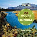 24 Hours on the Tundra