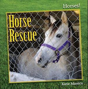 Horse Rescue