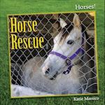 Horse Rescue