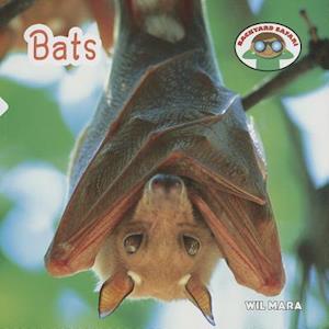 Bats