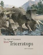 Meet Triceratops