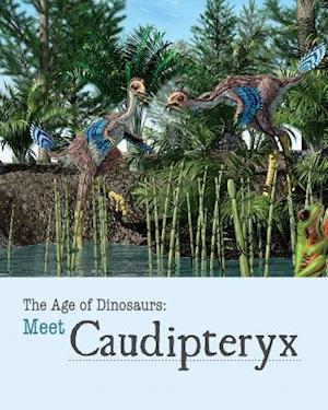 Meet Caudipteryx