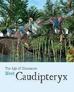 Meet Caudipteryx