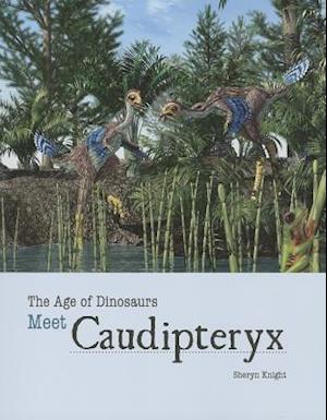 Meet Caudipteryx