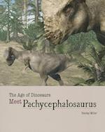 Meet Pachycephalosaurus