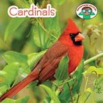 Cardinals