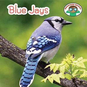 Blue Jays