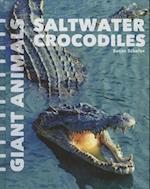 Saltwater Crocodiles