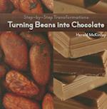 Turning Beans Into Chocolate