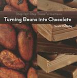 Turning Beans Into Chocolate
