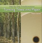 Turning Trees Into Paper