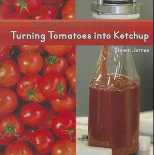 Turning Tomatoes Into Ketchup